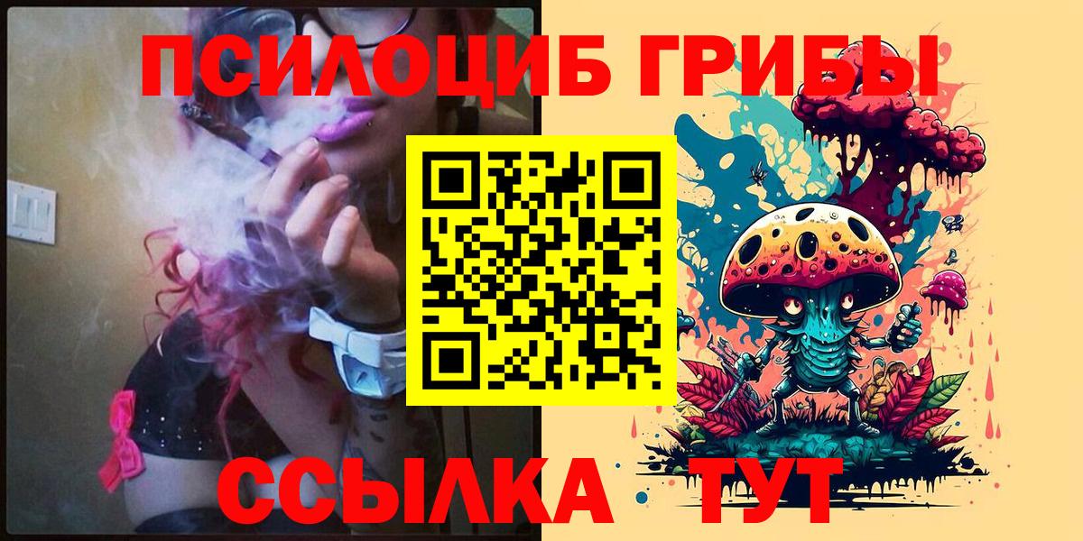 Псилоцибиновые грибы Psilocybe Морозовск